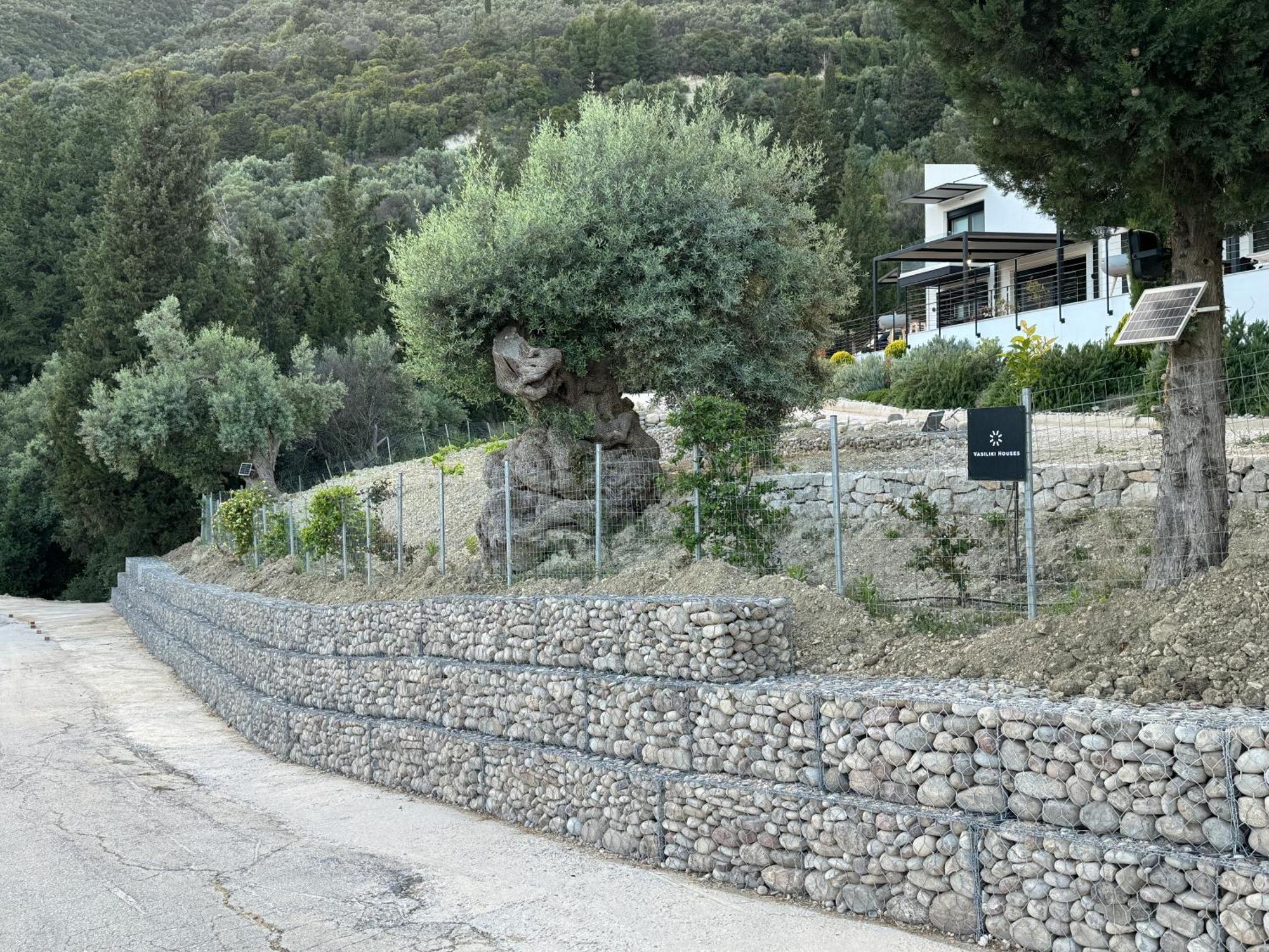 Vasiliki Houses Extérieur photo